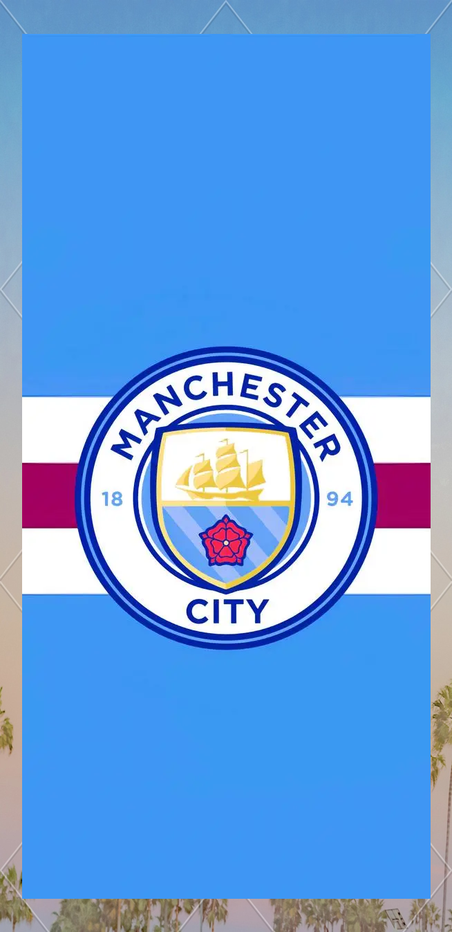 具爆发力球 具爆发力球